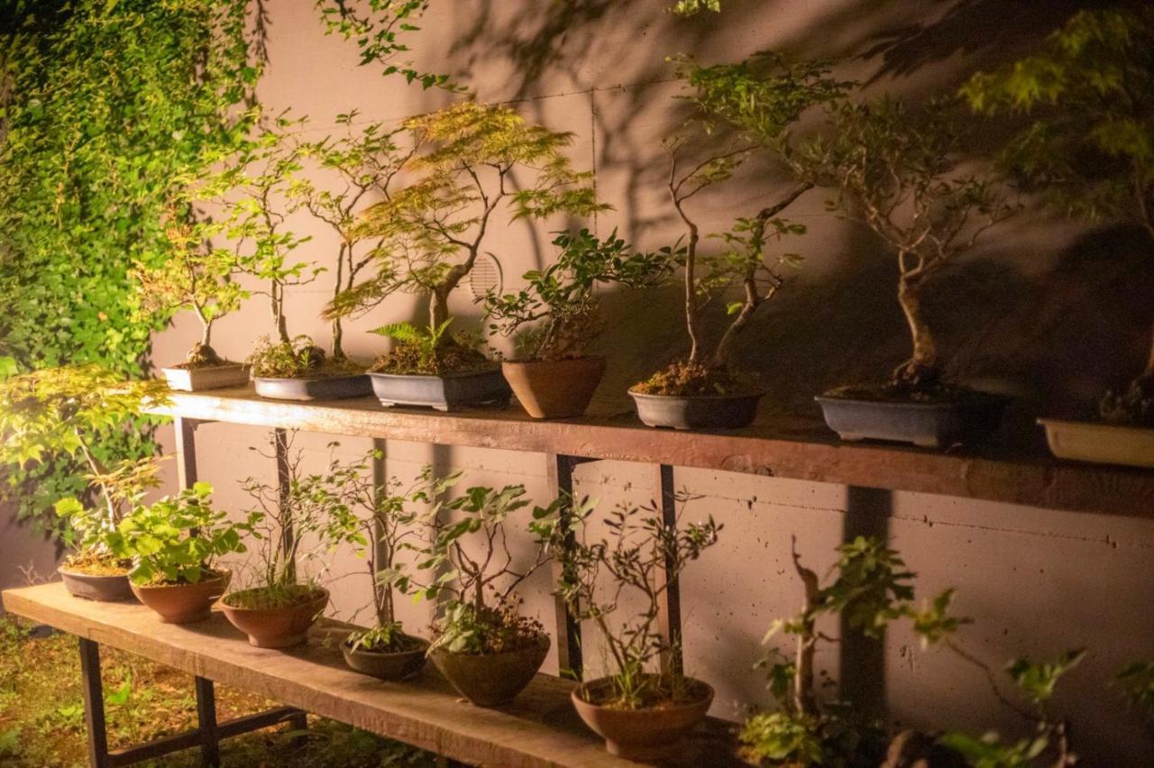 Апартаменти Il Giardino Segreto Carbognano Екстер'єр фото